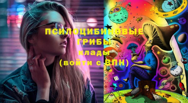 мдпв Абдулино