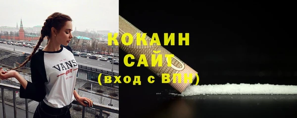 прущий лед Новозыбков