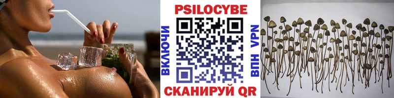 Галлюциногенные грибы ЛСД  где можно купить наркотик  kraken tor  Александровск 